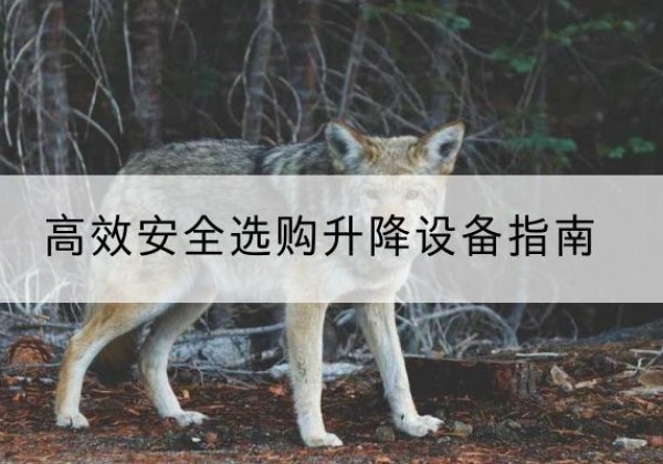 房县升降货梯厂家推荐-*安全选购升降设备指南