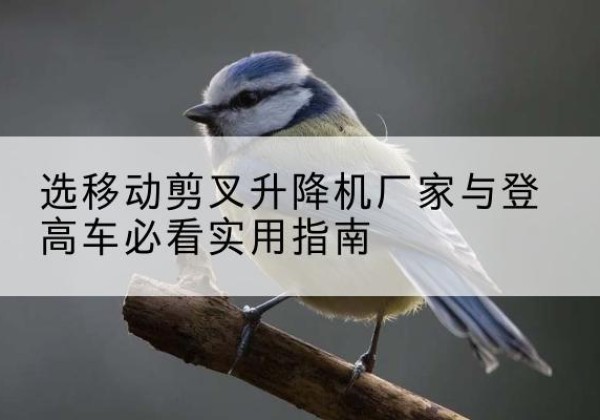 房县电动升降机厂家-选移动剪叉升降机厂家与登高车必看实用指南