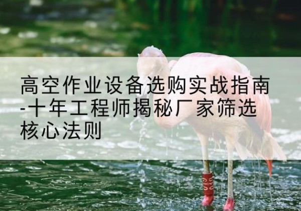 房县剪叉式升降机厂家-高空作业设备选购实战指南-十年工程师揭秘厂家筛选核心法则